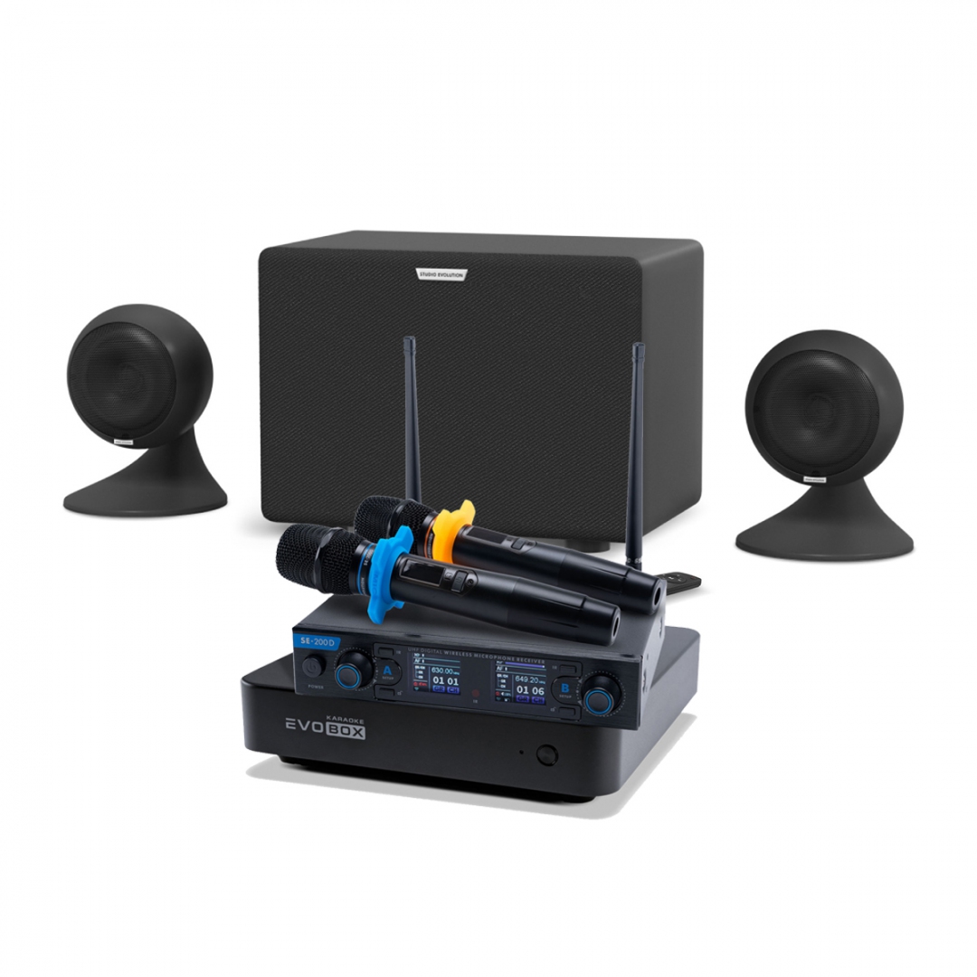 караоке-комплект EVOBOX + EvoSound Sphere 2.1 в Кинеле