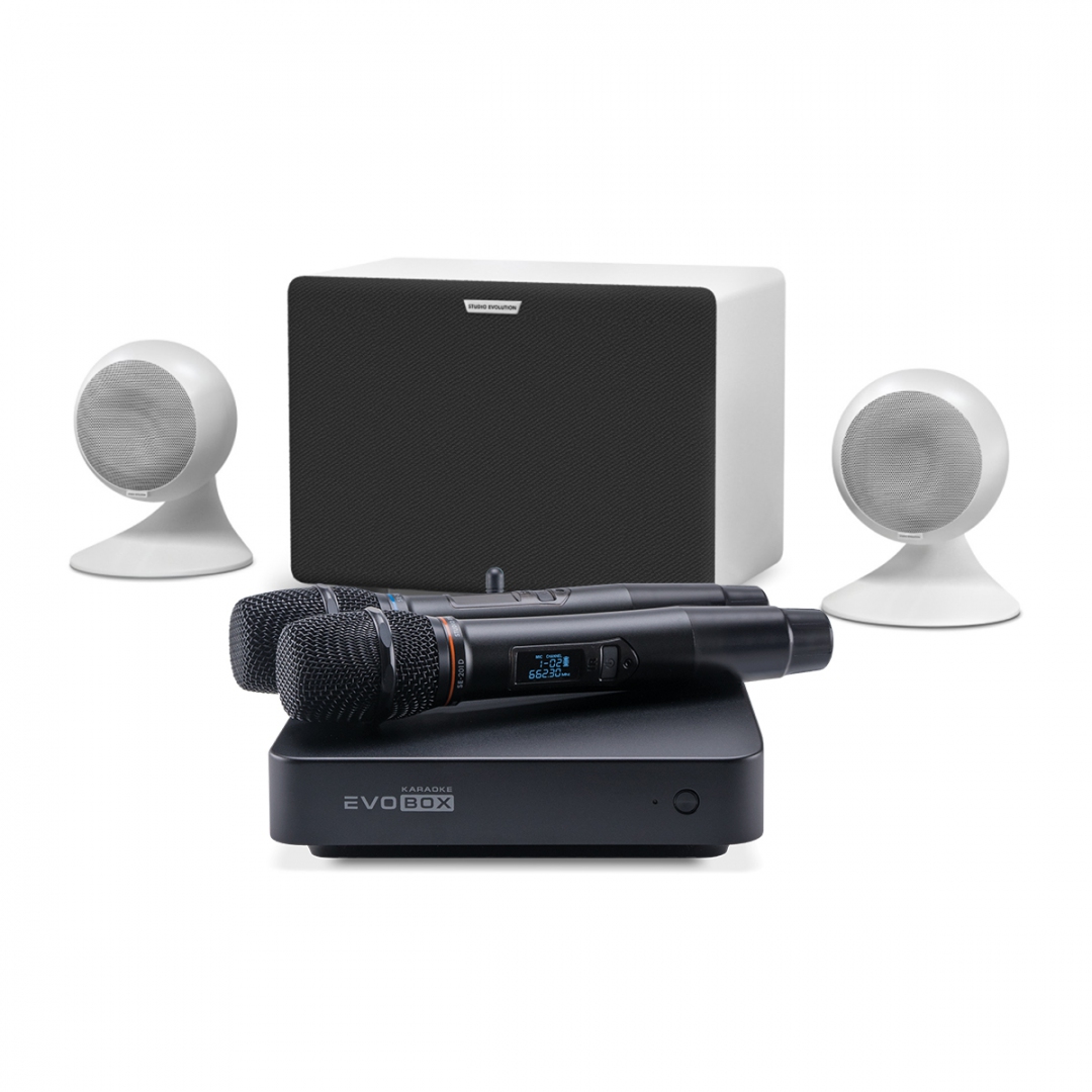караоке-комплект EVOBOX Classic + EvoSound Sphere 2.1 в Кинеле