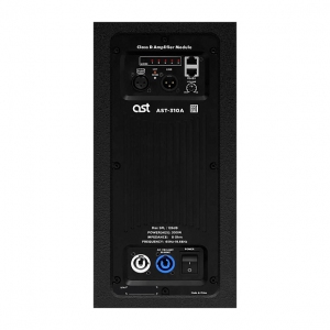 Активная акустическая система AST-310A в Кинеле