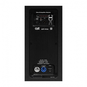 Активная акустическая система AST-312A в Кинеле