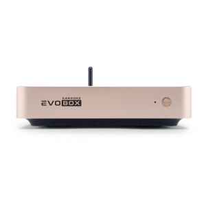 EVOBOX Plus караоке-система для дома в Кинеле