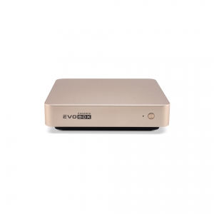 EVOBOX с микрофонами в Кинеле